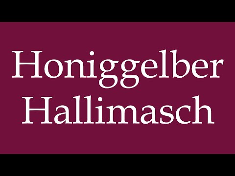 How to Pronounce ''Honiggelber Hallimasch'' (Honey-yellow Armillaria) Correctly in German