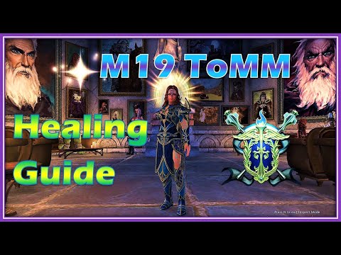 ADVANCED Guide to Paladin HEALING Tower of the Mad Mage - M19 Neverwinter
