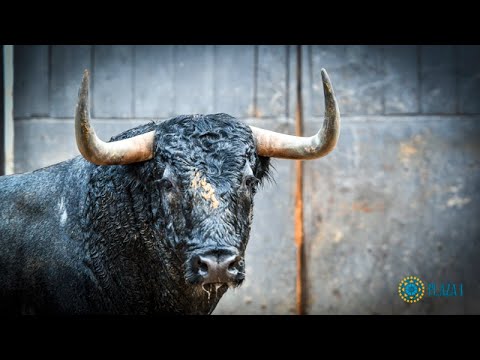 Adolfo Martín, ante su cita el 23 de marzo en Las Ventas