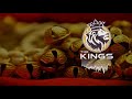 Wajle Ki Bara | Natarang HQ | Amruta Khanvilkar | Ajay-Atul | Lavani Songs | Kings united remix