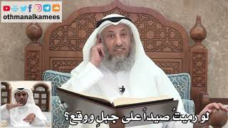 49 - لو رميتُ صيداً على جبلٍ ووقع؟ - عثمان الخميس
