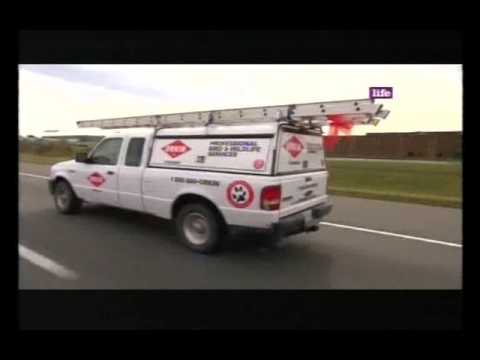 O Chefe Espião Canadá - A Orkin Controle de Pragas e Pestes