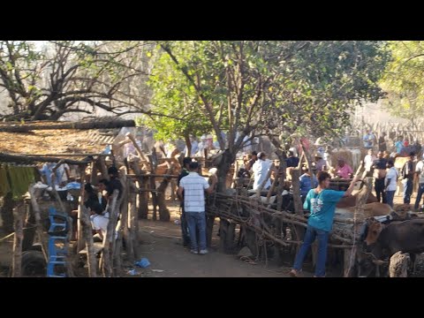 tiangue de El Tránsito, San Miguel, El Salvador, martes 27 de enero 2026
