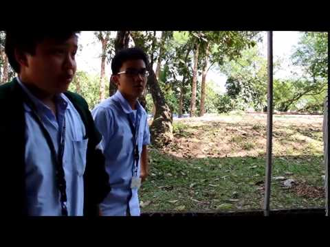 FILIPINO SLANG TERMS BY the students of 9J Berchmans