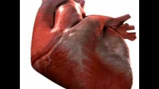 CORAZÓN ROMÁNTICO (con letras) Los Guardianes Del Amor)