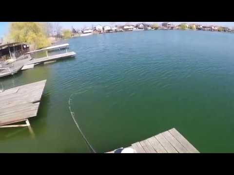 SEDO Fishing - Running and landing the net. Big Common Carp. WWW.SEDOFISHING.COM