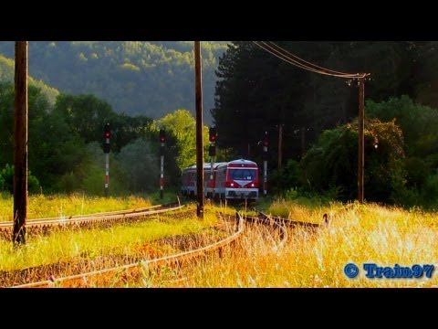 Two Trains on Sunset in Bratca (21 07 2013)