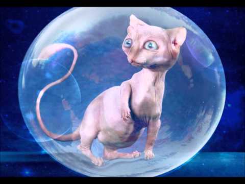 Kings Of The City Feat. Klashnekoff - Darkness (Stinkahbell Vocal Remix)