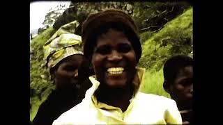 Elton John - Durban Deep