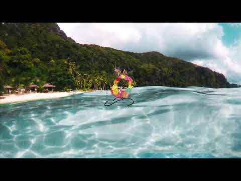 Viva La Panda - I Want You Back (Ft. Sam Day)..