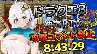 【完走】SFC版ドラクエ３ 攻撃コマンド禁止 神竜RTA  8時間43分29秒　2023/07/29