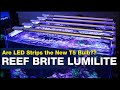 Led Strip Lights For Saltwater Aquarium