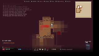 Stay Safe labyrinth of the Mad Fighter run Part 1 (Beta 56)