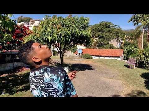 PEIXINHO PASSOU NA MÃO DO NEGO DEEH.