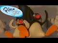 Pingu S Travels Fisher Price Cartoons For Kids