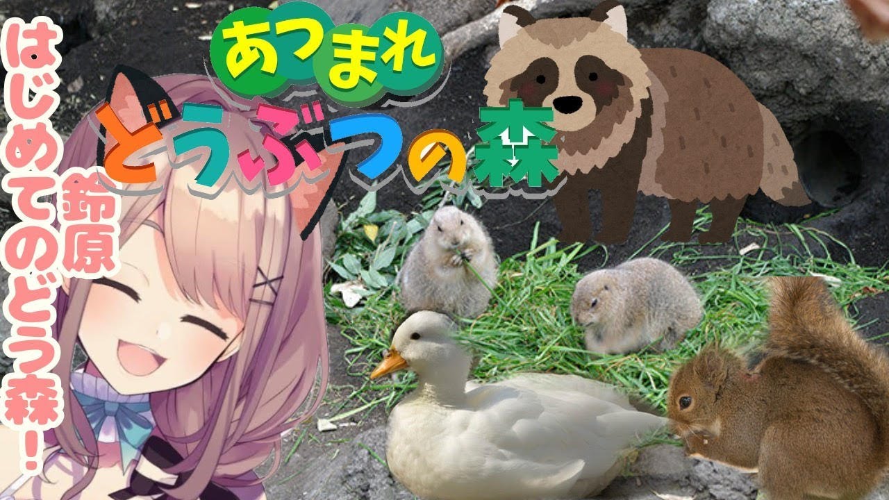 【あつまれどうぶつの森】鈴原、はじめてのどう森…やってみるるｯ！！！！！！【鈴原るる/にじさんじ】