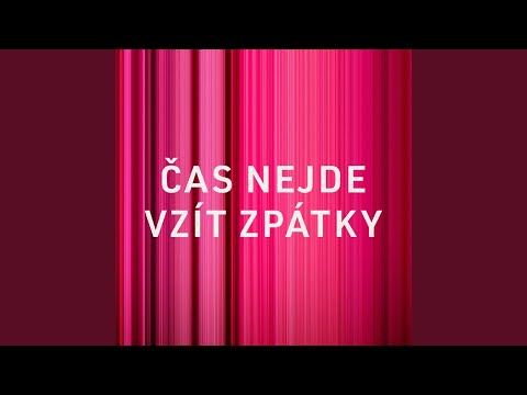Čas nejde vzít zpátky (feat. David Koller)