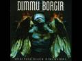 Dimmu Borgir - The Insight and the Catharsis