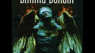 Dimmu Borgir - The Insight and the Catharsis
