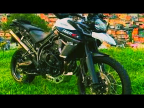 mcs suh e nay - Tiger