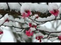 Nagori-Yuki - なごり雪 - Tuyết muộn.FLV 