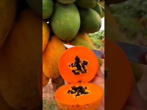 বিয়ের মন্ডপে আমার সাথে যা আগে গেল। #youtubeshorts  #highlightseveryone #funnyvideosclips @highlight