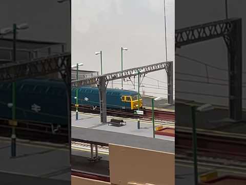 Model double class 56 passes at Making Tracks 4 at Chester!!