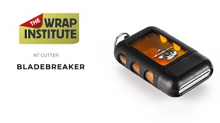 Video 1 trigger image