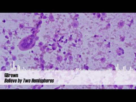 GBrown - Believe by Two Hemispheres [Suffused Music]