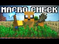 Getting Macro Checked and FALSE BANNED?! | Hypixel Skyblock