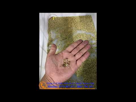 MÁY DÒ TẠP CHẤT X-RAY HẠT ĐIỀU XUẤT KHẨU SẢN PHẨM: WS,SP,LP,BB - 0976 002 023