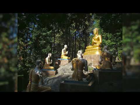 Joseph Goldstein – Insight Hour – Ep. 77 – Turning the Wheel of the Dharma: The End of Craving