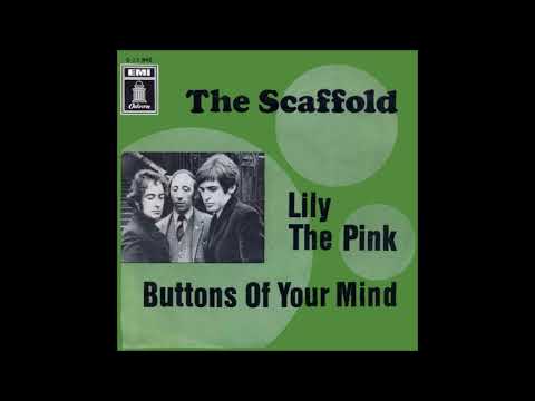Scaffold - Lily the Pink
