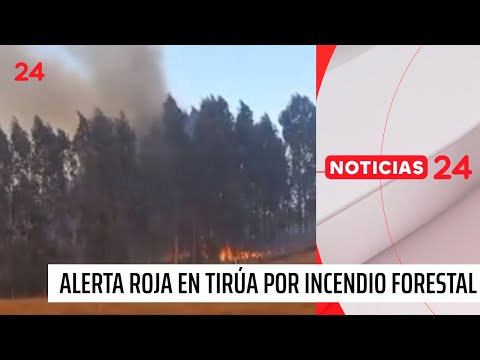 Declaran Alerta Roja en Tirúa por incendio forestal | 24 Horas TVN Chile