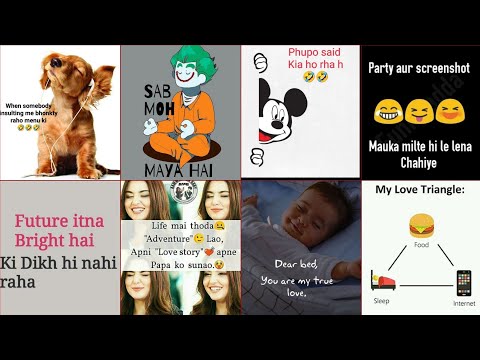  Funny photos to put on your WhatsApp profile