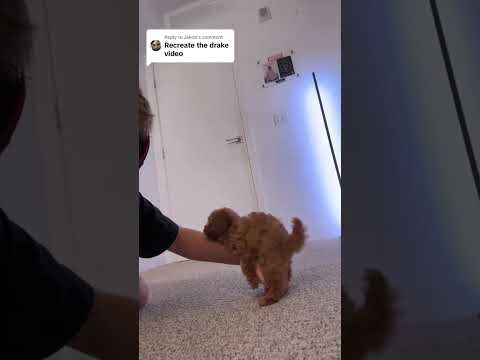 You Guys Are Sick...