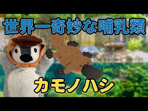 1816年のイラスト