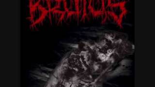 BRUTUS - Onan
