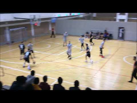 2019 CroHoops All-Star Game - Dino Bozic (D2/Antitalenti) Highlights