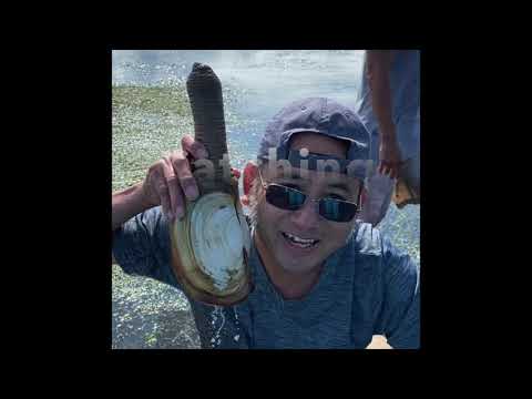 How to catch Giant clams (Geoduck), clean and prep