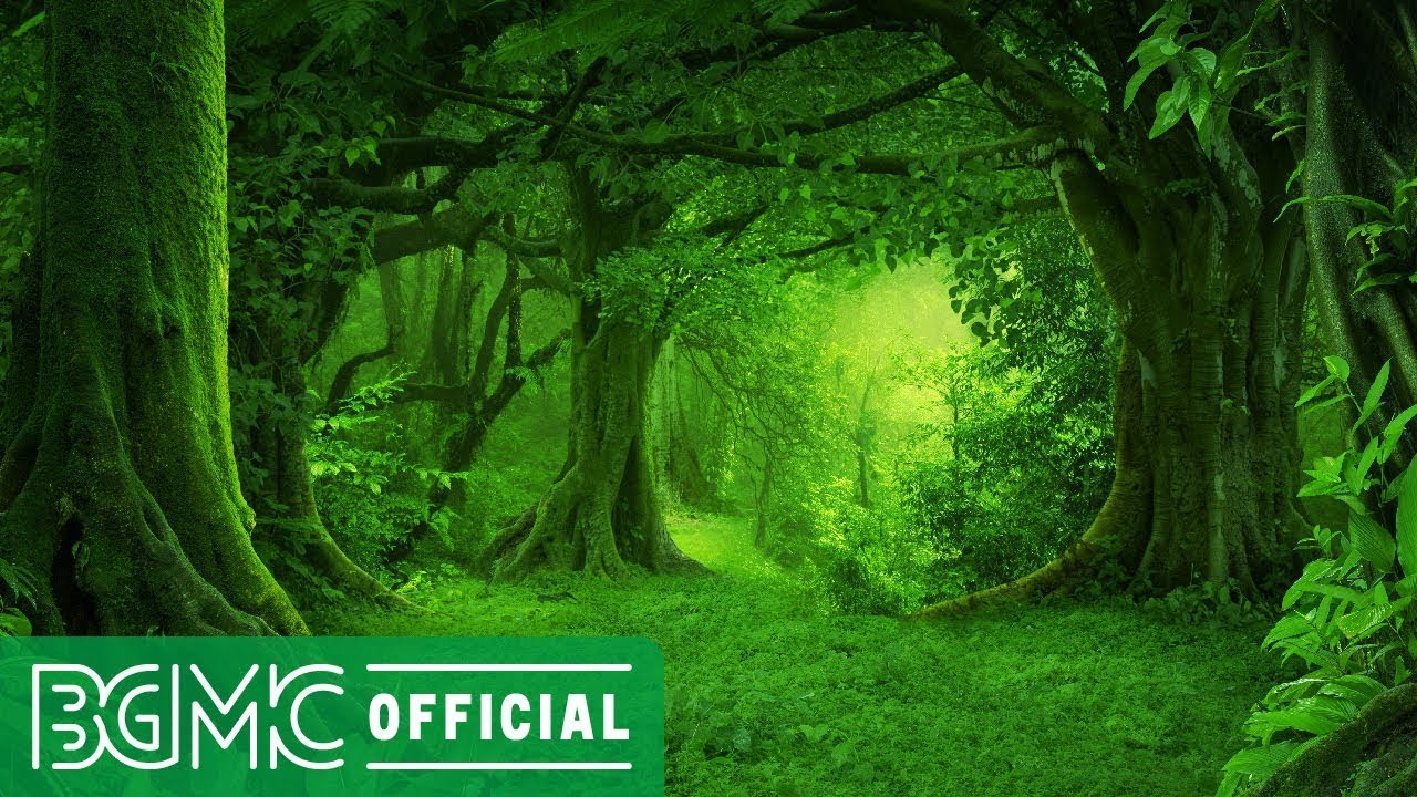 Healing Music with Forest Green Screen - Background Music for Deep Sleep - Music Live 24/7
