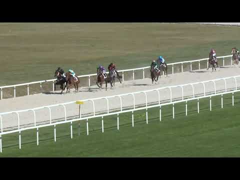 2019.09.22. 02. futam - NYERETLEN KÉTÉVESEK VERSENYE (IV.kat.) (szintetikus pálya)