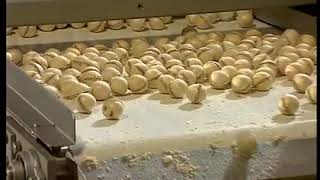 Hebenstreit filled wafer ball line for Ferrero Rocher type product. How it works. FOR SALE.