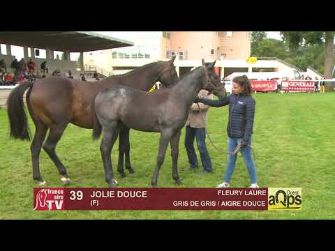 Show Aqps Ouest 2019 : Lot 39 - JOLIE DOUCE
