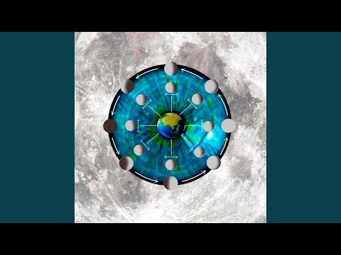O quarto da lua - Estevão Camargo
