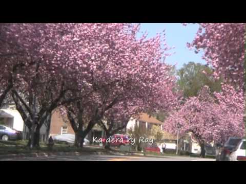 Tsy hainay ny hangina FF7