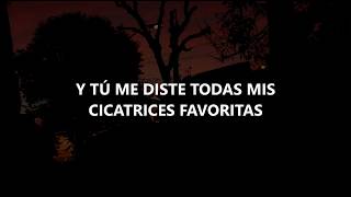 Steve Aoki - A Lover And A Memory (Subtitulada Español) ft. Mike Posner