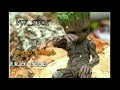 Poongatrile Un Swasathai Uyire Lyrics