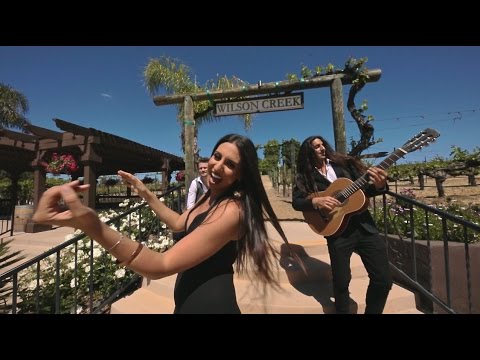 DIA "Quando Quando Quando"