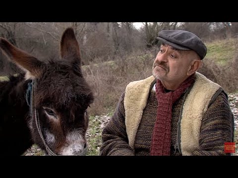 Makedonski Narodni Prikazni - Kadijata i Siromaviot so Magareto